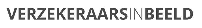 Verzekeraars in beeld